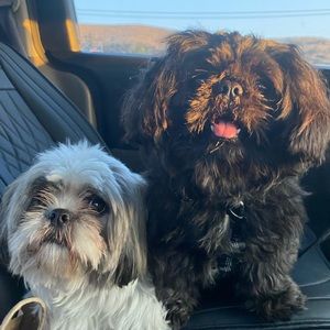 Meet your Posher, Angela